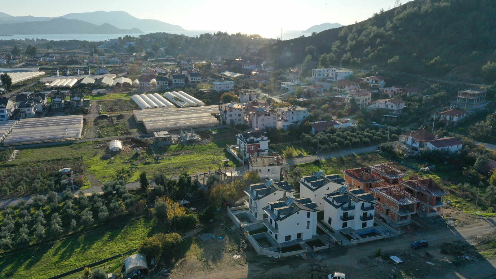 WhatsApp Image 2026-02-05 at 18.52.10 (1)