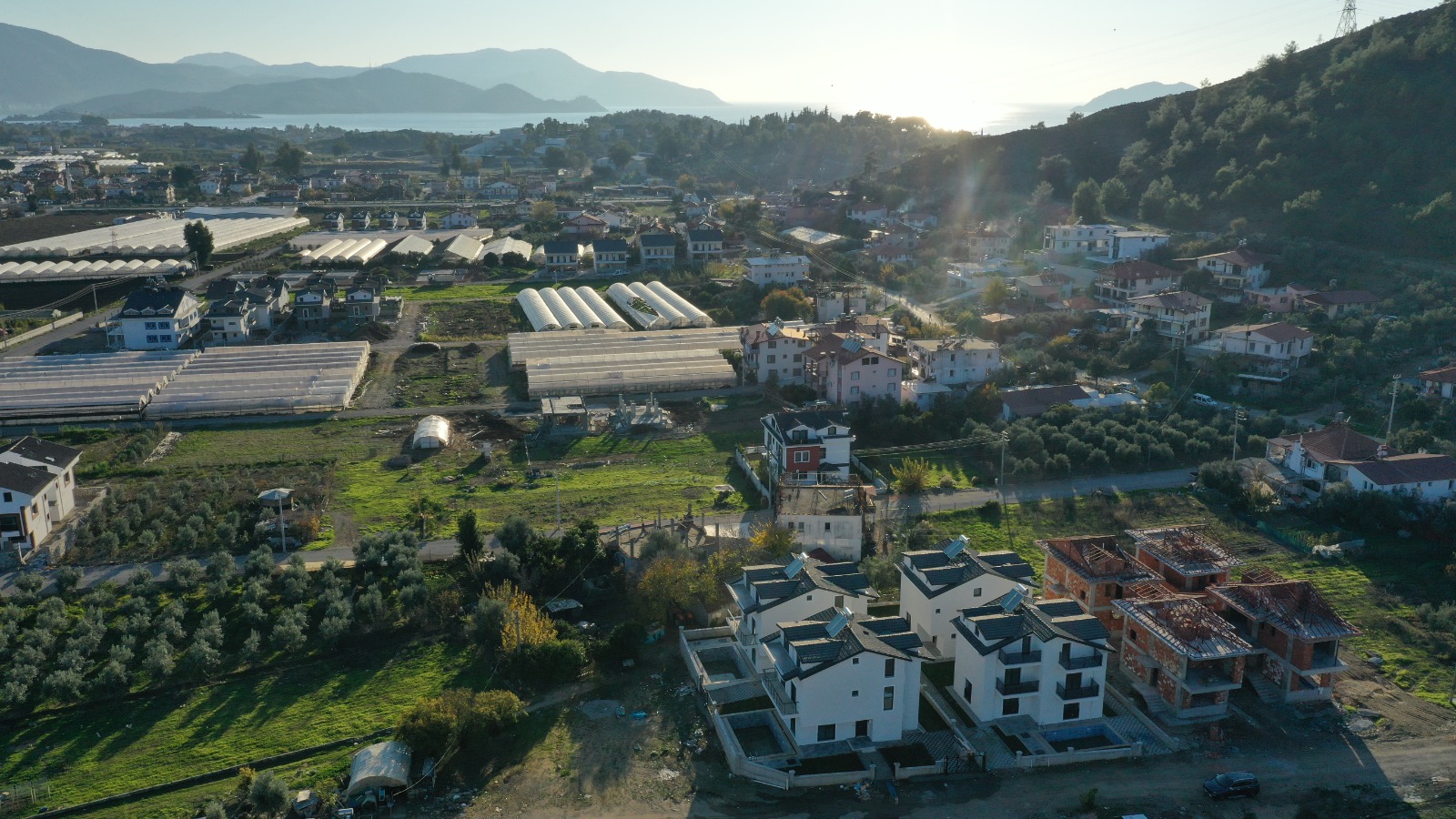 WhatsApp Image 2026-02-05 at 18.52.10